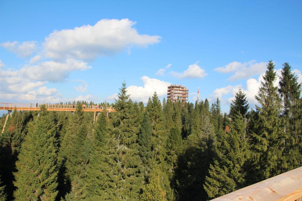 Ždiar Holiday House Daniela المظهر الخارجي الصورة